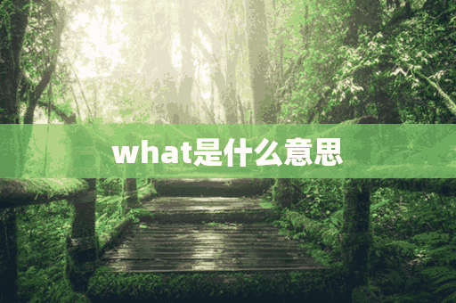 what是什么意思